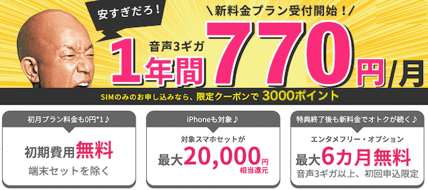 Biglobeモバイルのキャンペーンを徹底解説 初月無料 1年間3gbが月770円 端末セットで 000ポイント