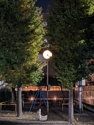Pixel6aのカメラ：夜景のズーム