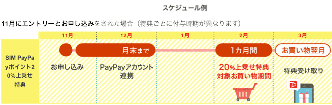 PayPay20%還元の詳細