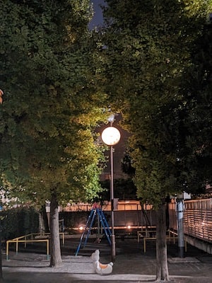 Pixel7aのカメラ：夜景のズーム