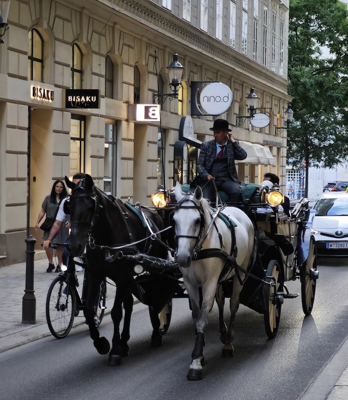 ウィーン市内の馬車