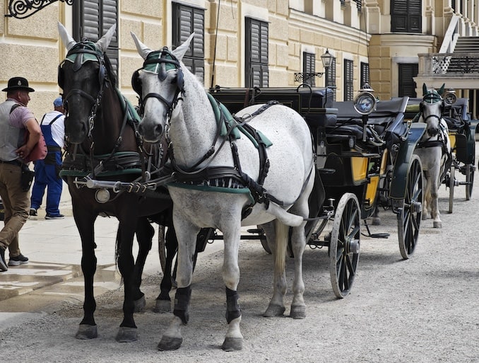 シェーンブルン宮殿の馬車