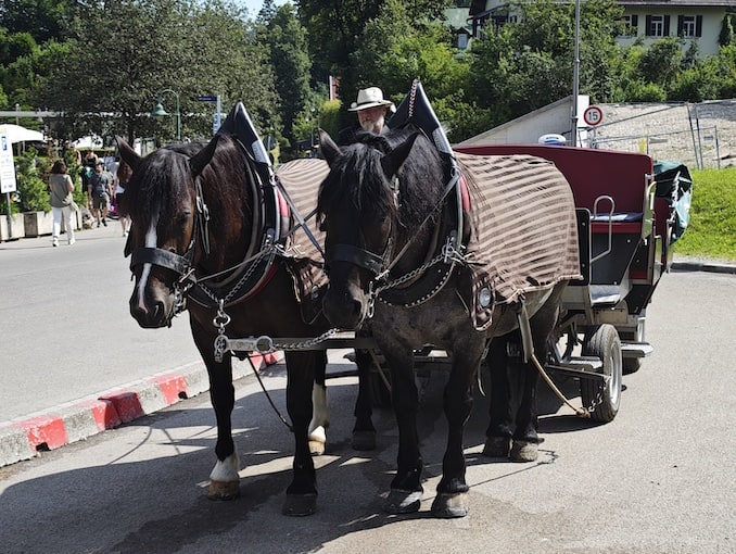 ノイシュバンシュタイン城の馬車