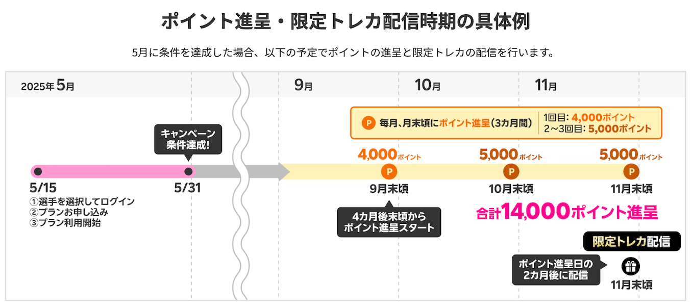ポイント付与のスケジュール