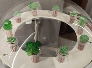 イタリアの作品8