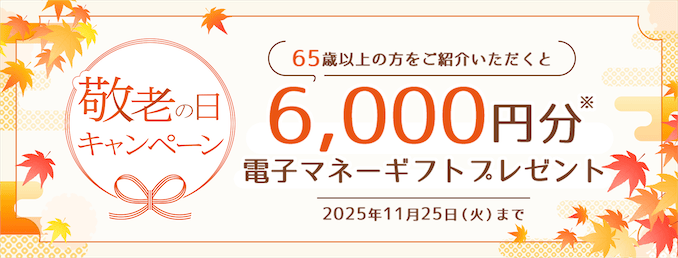 mineoの65歳以上紹介キャンペーンの詳細