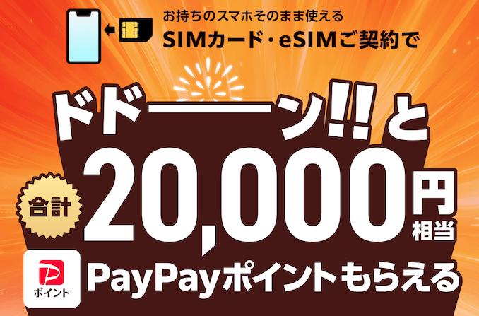 ワイモバイルのヤフー店のPayPay特典
