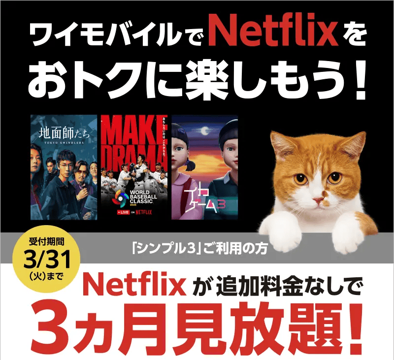 ワイモバイルのNetflixキャンペーン