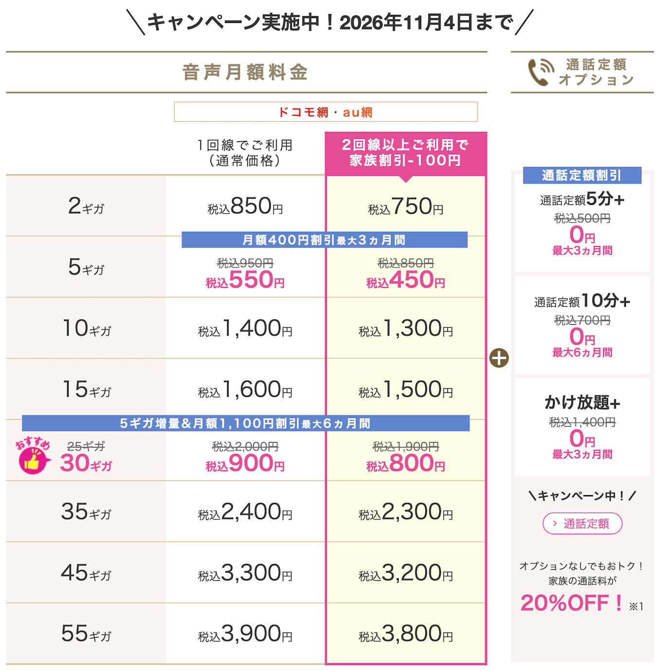 IIJmioのキャンペーン詳細