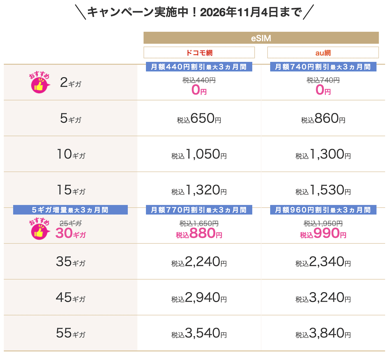 IIJmioのデータプランのキャンペーン詳細