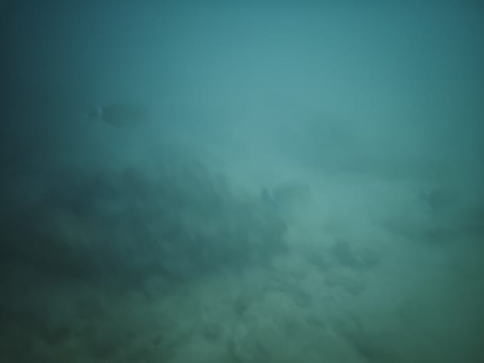 宮古島のパイナガマビーチの魚